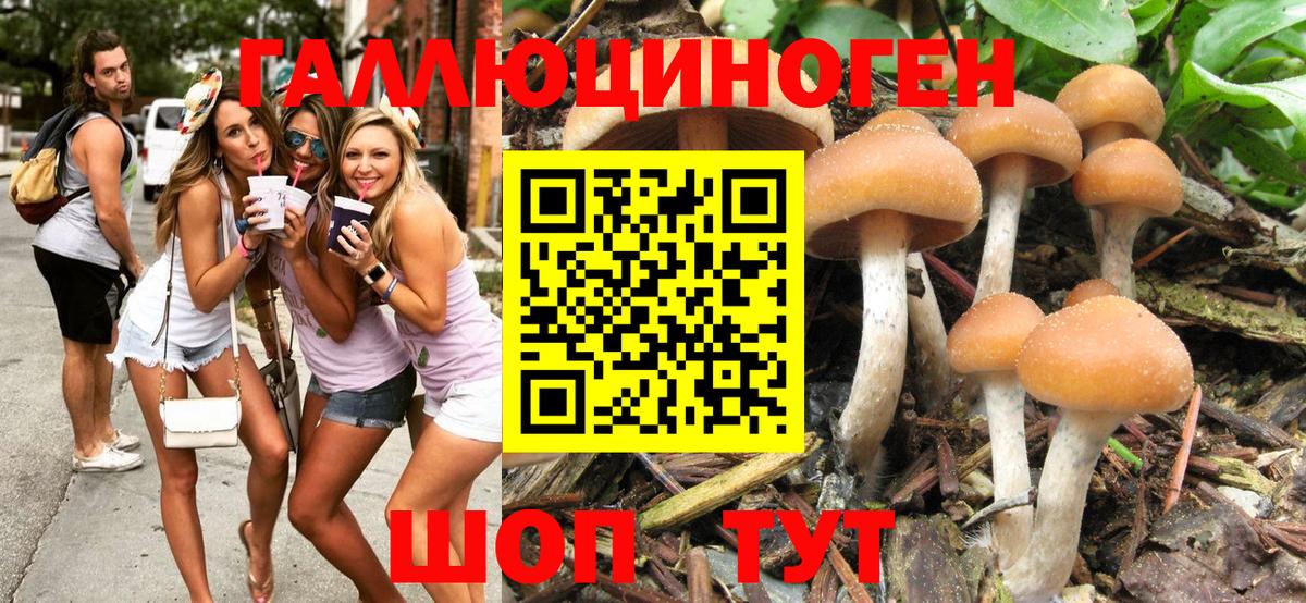 Лосино-Петровский  Галлюциногенные грибы Magic Shrooms  Вход с VPN  Галлюциногенные грибы Cubensis 